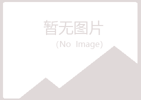 阳明区白山建筑有限公司